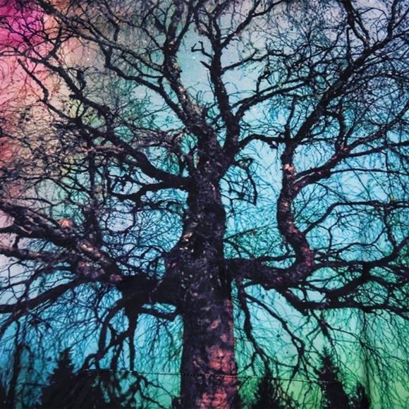 3D Novelty Hoodie Graphic Print Colorful Tree Pullover Sweatshirt - Picture 6 of 6